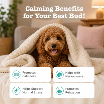 EzDays® - Calming Bites™